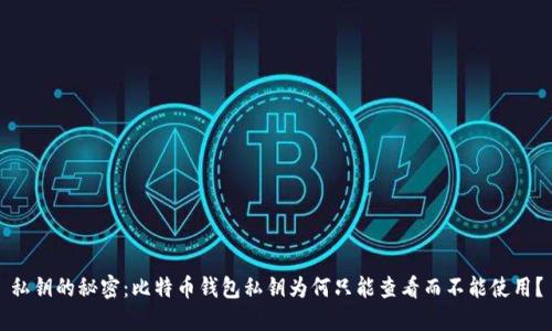 私钥的秘密：比特币钱包私钥为何只能查看而不能使用？