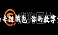 探索泰达币的专链钱包：