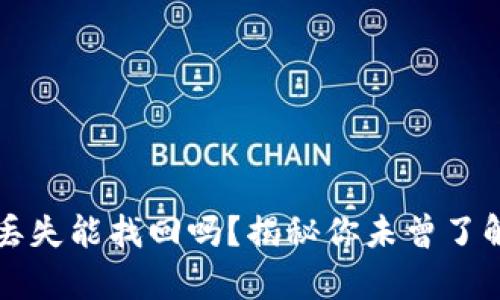 比特币钱包丢失能找回吗？揭秘你未曾了解的背后真相