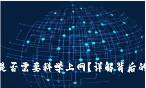 MetaMask是否需要科学上网？详解背后的真相与技巧