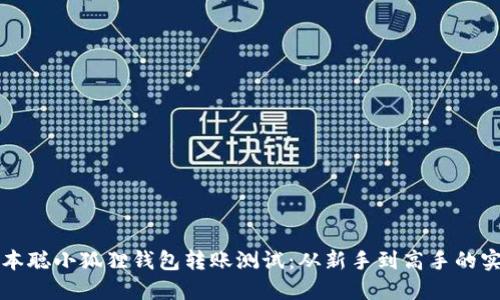 揭秘中本聪小狐狸钱包转账测试：从新手到高手的实用指南