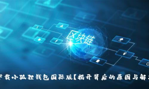 无法下载小狐狸钱包国际版？揭开背后的原因与解决方案