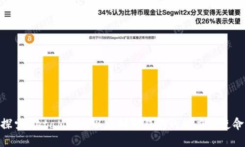 探索MetaMask：以太坊轻钱包的魅力与使命