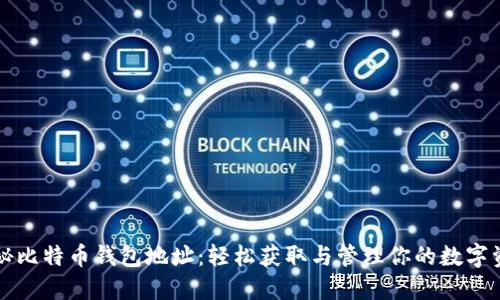 揭秘比特币钱包地址：轻松获取与管理你的数字资产