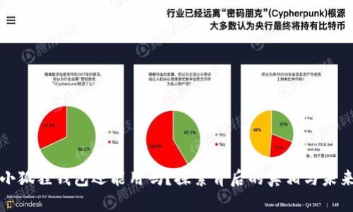 小狐狸钱包还能用吗？探索背后的真相与未来