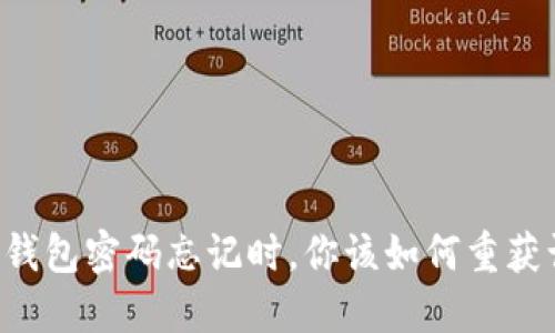 当小狐狸钱包密码忘记时，你该如何重获访问权限？