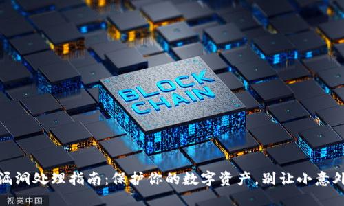 小狐狸钱包漏洞处理指南：保护你的数字资产，别让小意外成为大损失