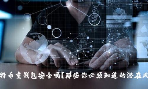 比特币重钱包安全吗？那些你必须知道的潜在风险
