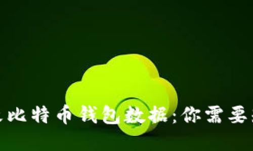 如何安全地修改比特币钱包数据：你需要知道的关键步骤