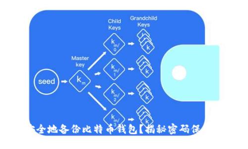 如何安全地备份比特币钱包？揭秘密码保护的意义