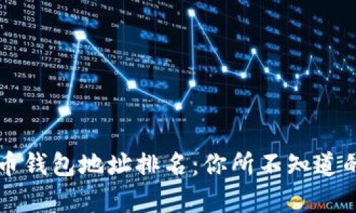 揭秘比特币钱包地址排名：你所不知道的财富秘笈