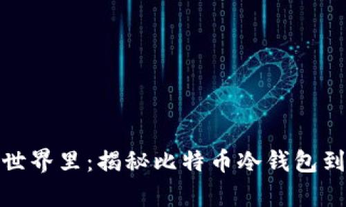 在数字资产的世界里：揭秘比特币冷钱包到账时间的奥秘