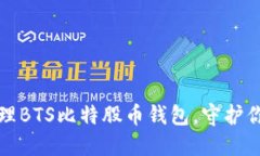 如何安全管理BTS比特股币