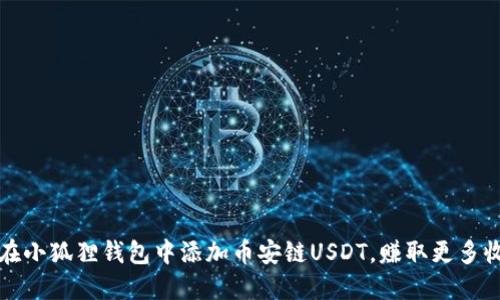 如何轻松在小狐狸钱包中添加币安链USDT，赚取更多收益的秘密
