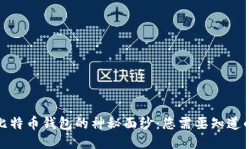 揭开比特币钱包的神秘面纱：您需要知道的一切