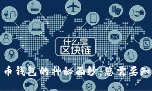 揭开比特币钱包的神秘面纱：您需要知道的一切