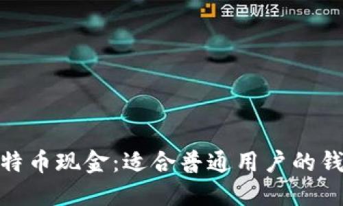 探索比特币现金：适合普通用户的钱包选择