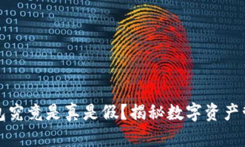小狐狸钱包究竟是真是假？揭秘数字资产管理的未来