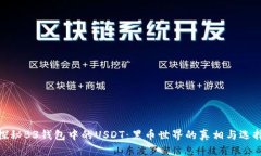探秘B3钱包中的USDT：黑币