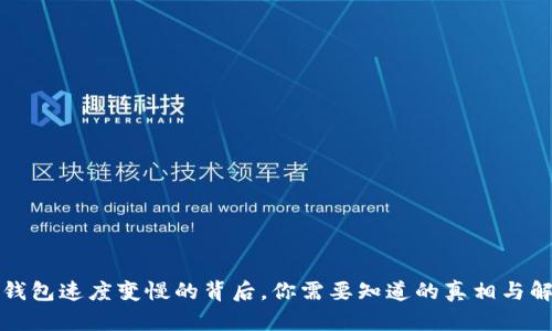 小狐狸钱包速度变慢的背后，你需要知道的真相与解决方案