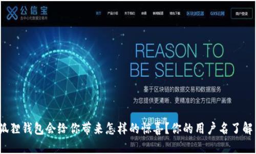 : 小狐狸钱包会给你带来怎样的惊喜？你的用户名了解了吗？