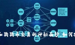 揭开狗狗币钱包和狗狗币