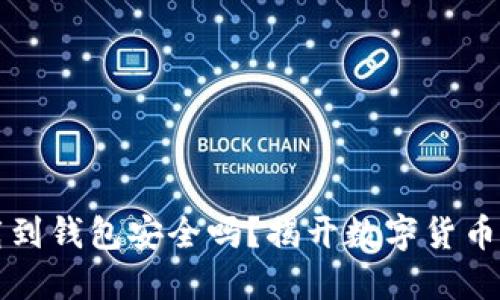比特币下载到钱包安全吗？揭开数字货币背后的秘密