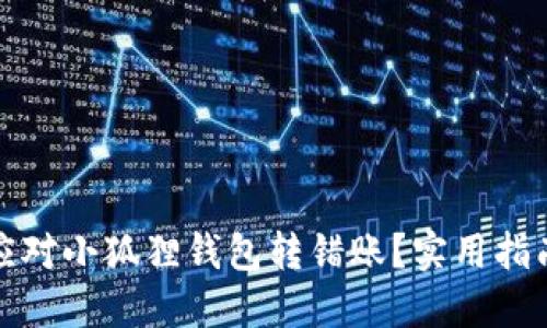 如何优雅应对小狐狸钱包转错账？实用指南与小贴士