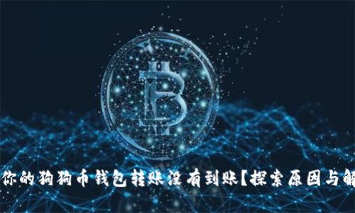 为什么你的狗狗币钱包转账没有到账？探索原因与解决办法
