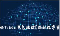 : 如何找到你的Token钱包地
