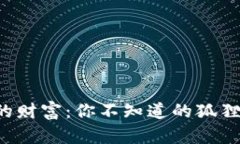 揭秘狐狸的财富：你不知