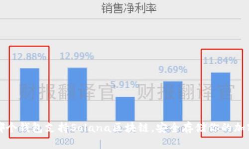 探索哪个钱包支持Solana区块链，安全存储你的加密资产