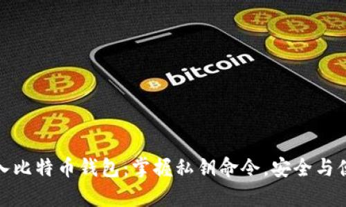 轻松导入比特币钱包：掌握私钥命令，安全与便利并存