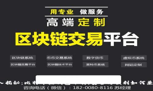深入揭秘：比特币热钱包下载，安全与便利如何兼得？