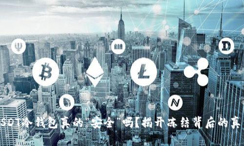 USDT冷钱包真的“安全”吗？揭开冻结背后的真相