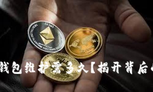 USDT钱包维护需多久？揭开背后的谜团