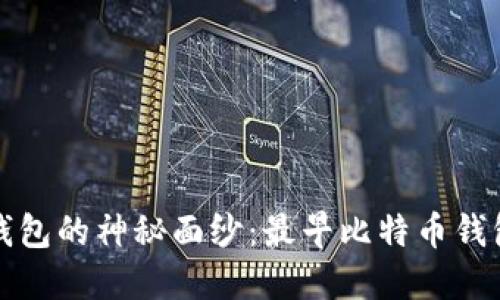 揭开比特币钱包的神秘面纱：最早比特币钱包的使用教程