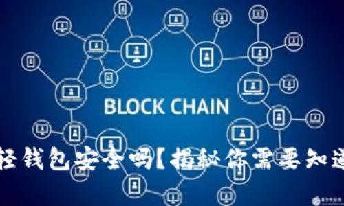 比特币轻钱包安全吗？揭秘你需要知道的真相
