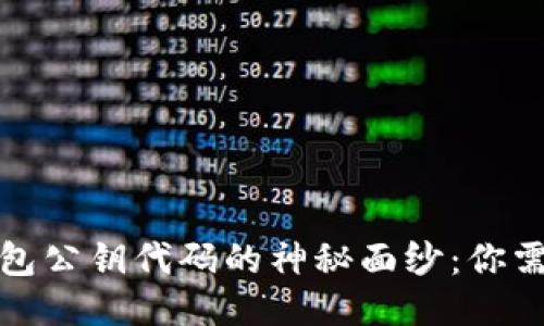 揭开比特币钱包公钥代码的神秘面纱：你需要知道的一切