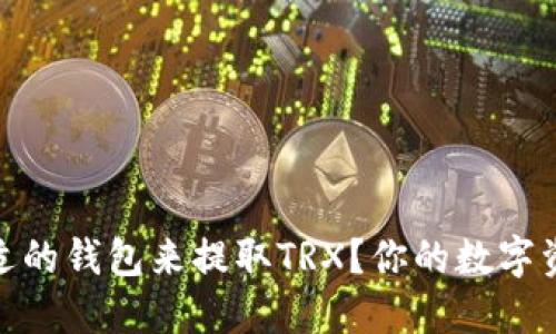 如何选择合适的钱包来提取TRX？你的数字资产安全之道