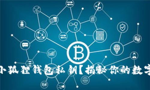 如何安全查看小狐狸钱包私钥？揭秘你的数字资产保护之道