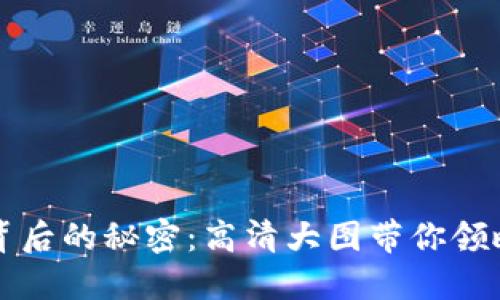 揭开比特币钱包背后的秘密：高清大图带你领略数字货币的魅力