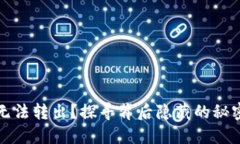 小狐狸钱包无法转出？探