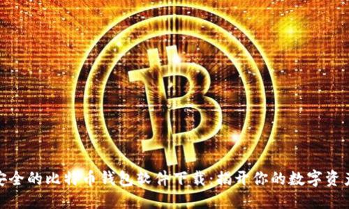 如何选择安全的比特币钱包软件下载：揭开你的数字资产保护之道