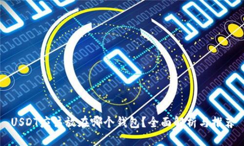 USDT应该放在哪个钱包？全面解析与推荐