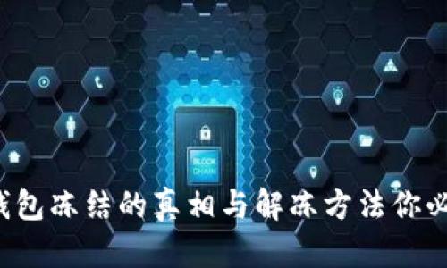 小狐狸钱包冻结的真相与解冻方法你必须知道！