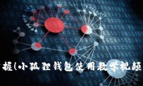 轻松掌握！小狐狸钱包使用教学视频全攻略
