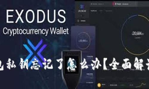 : 小狐狸钱包私钥忘记了怎么办？全面解读和解决方案