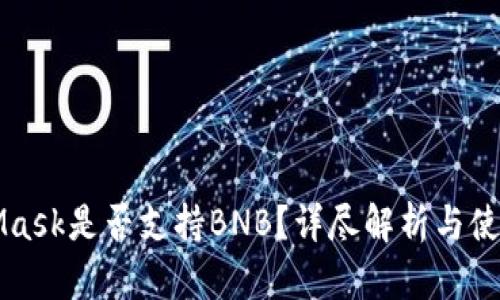 MetaMask是否支持BNB？详尽解析与使用指南