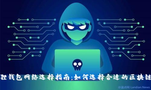 小狐狸钱包网络选择指南：如何选择合适的区块链网络
